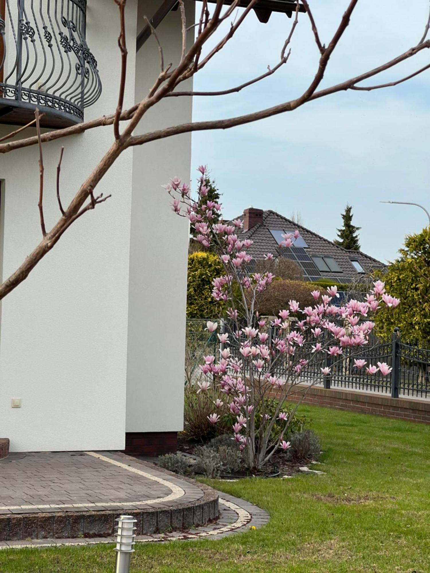 Apartamenty Bursztynowe Dębki Exteriér fotografie